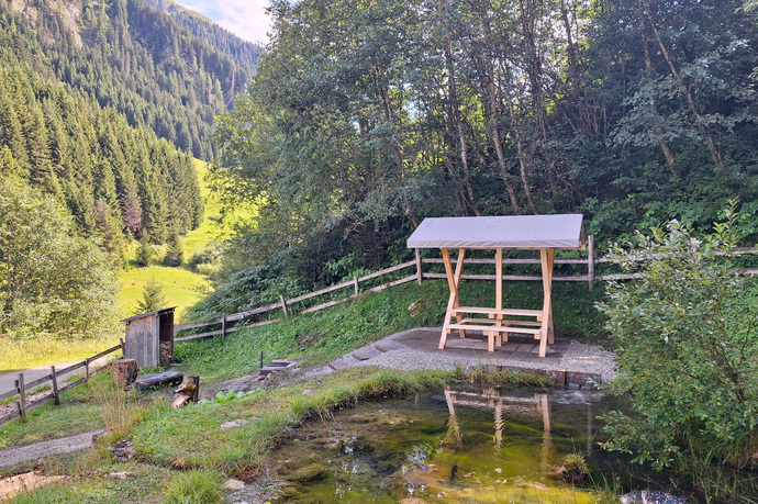 Feuerstelle mit Biotop