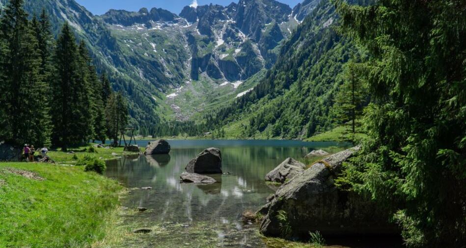 Cama (oua_602645953_image)