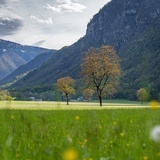 Lostallo (oua_602678241_image)