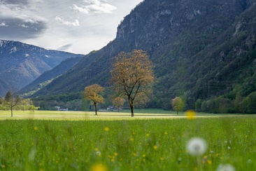 Lostallo (oua_602678241_image)