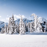 Mota d'Anzala - itinerario per ciaspole (oua_602679142_image)