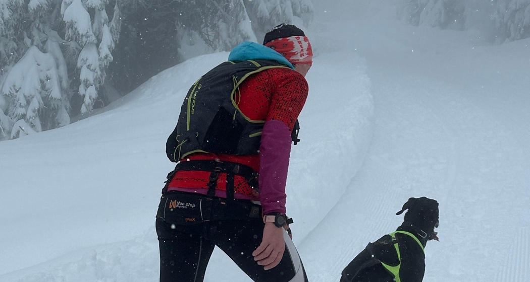 SanbeSNOWrun (ed. 2025) (oua_602679150_image)