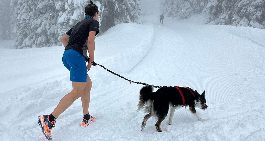 SanbeSNOWrun (ed. 2025) (oua_602679158_image)