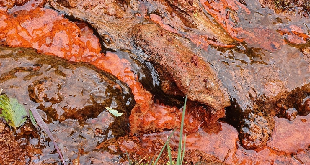 Wasserläufe der Chalzina Sura-Quelle mit roten Ablagerungen begrenzt durch schwarze Algen