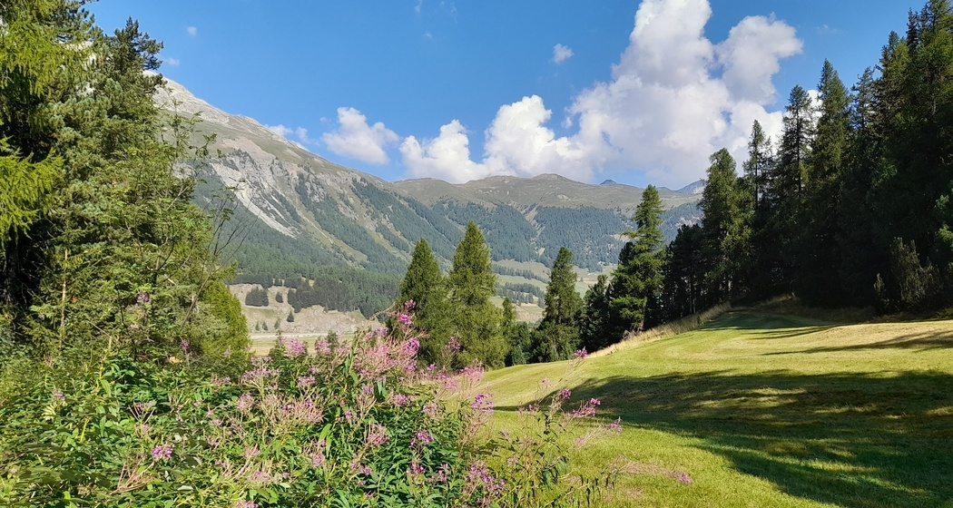 Feuerstelle bei San Gian (oua_602834833_image)