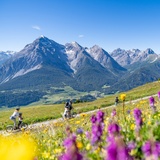 Scuol – Motta Naluns 964 (oua_60299071_image)