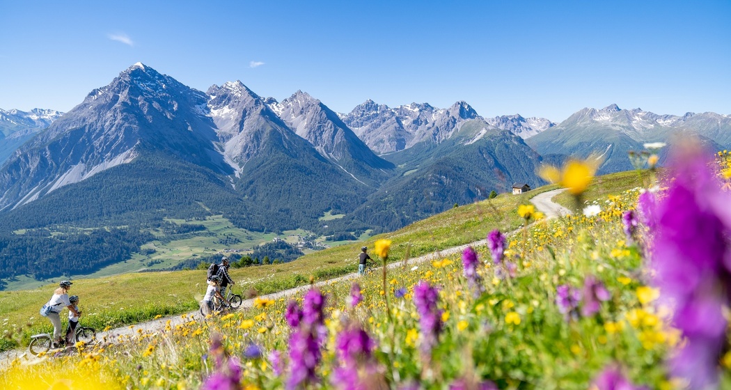 Scuol – Motta Naluns 964 (oua_60299071_image)