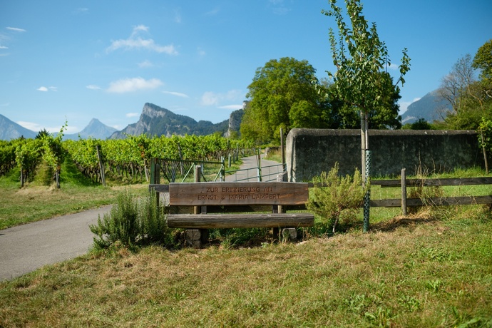 Ruhebänkli Heidelberggässli