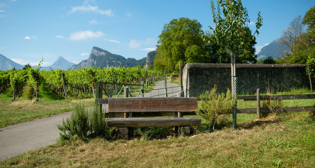 Ruhebänkli Heidelberggässli