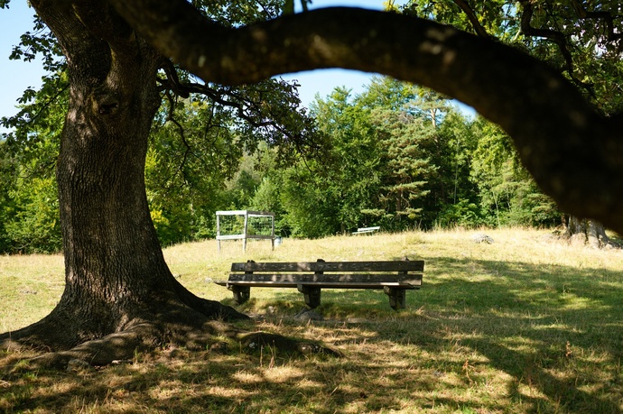 Ruhebänkli Heidibrunnen
