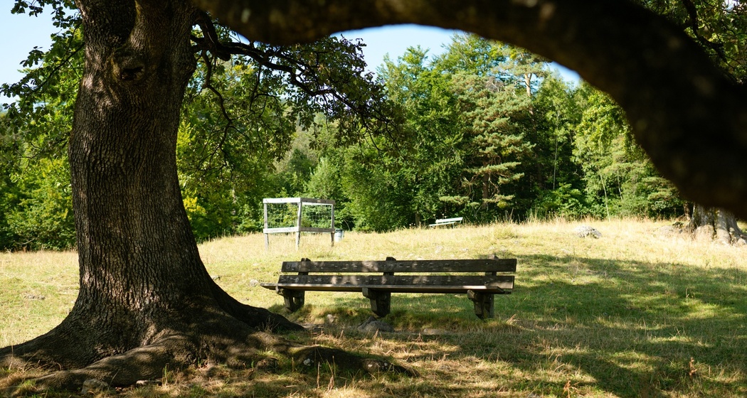 Ruhebänkli Heidibrunnen