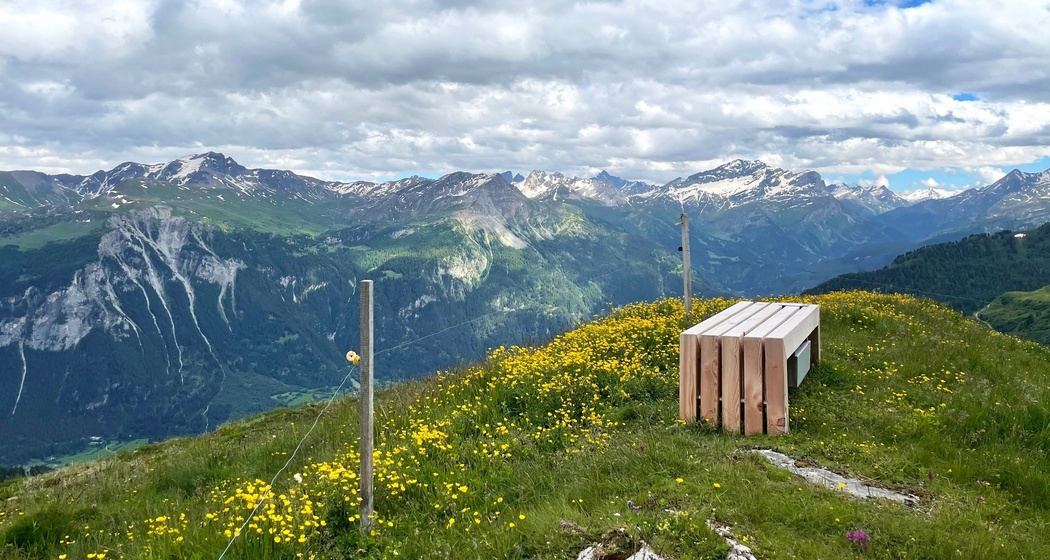 Bank entlang Panoramaweg Schamserberg bei der Alp digl obrist