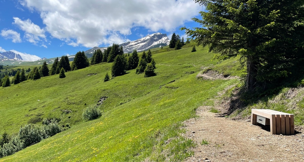 Panoramaweg Schamserberg mit Bank bei Summapunt