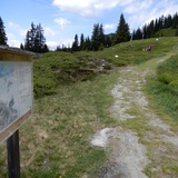 parcours de randonnée confortable