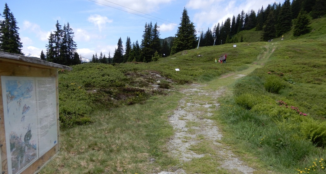 bequemer Wanderweg