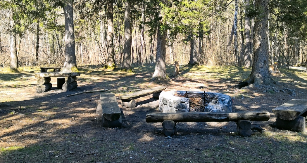 Feuerstelle Rheinau (oua_603360695_image)