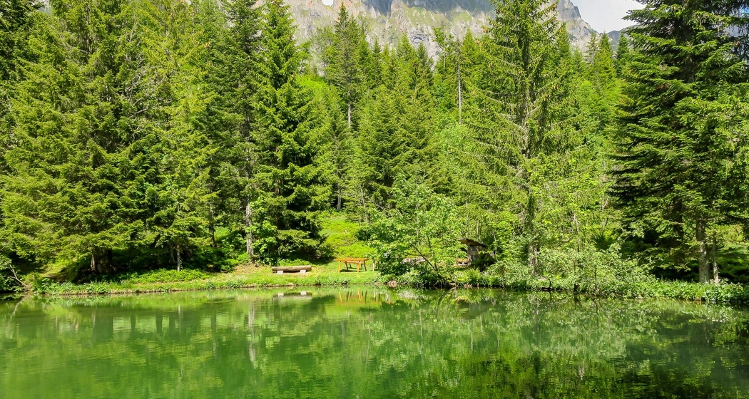 Feuerstelle Alp Sennis (oua_603360868_image)