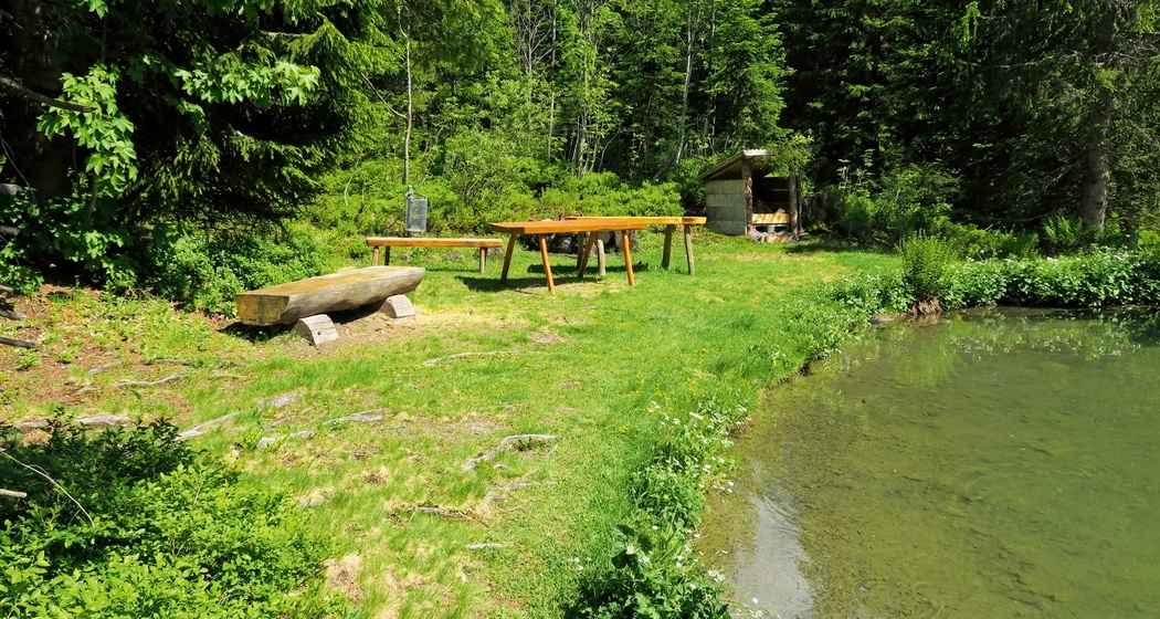 Feuerstelle Alp Sennis (oua_603360870_image)