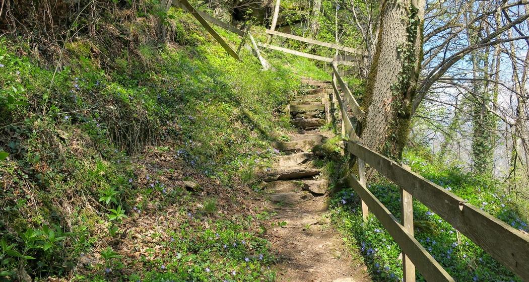 Feuerstelle Ruine Gräpplang (oua_603360883_image)