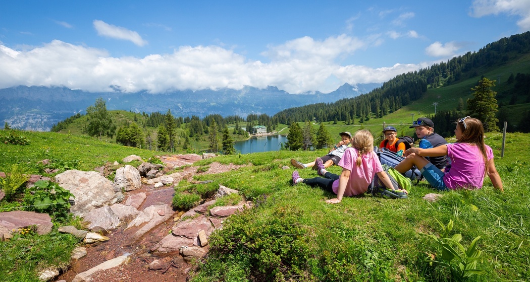 Feuerstelle Tritt (oua_603361734_image)