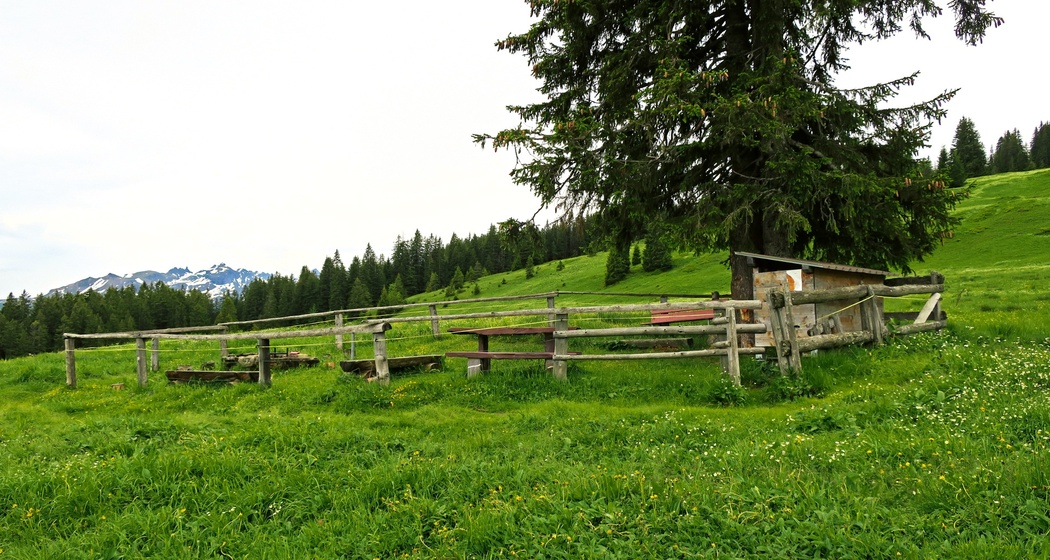 Feuerstelle Heidienberg (oua_603362678_image)
