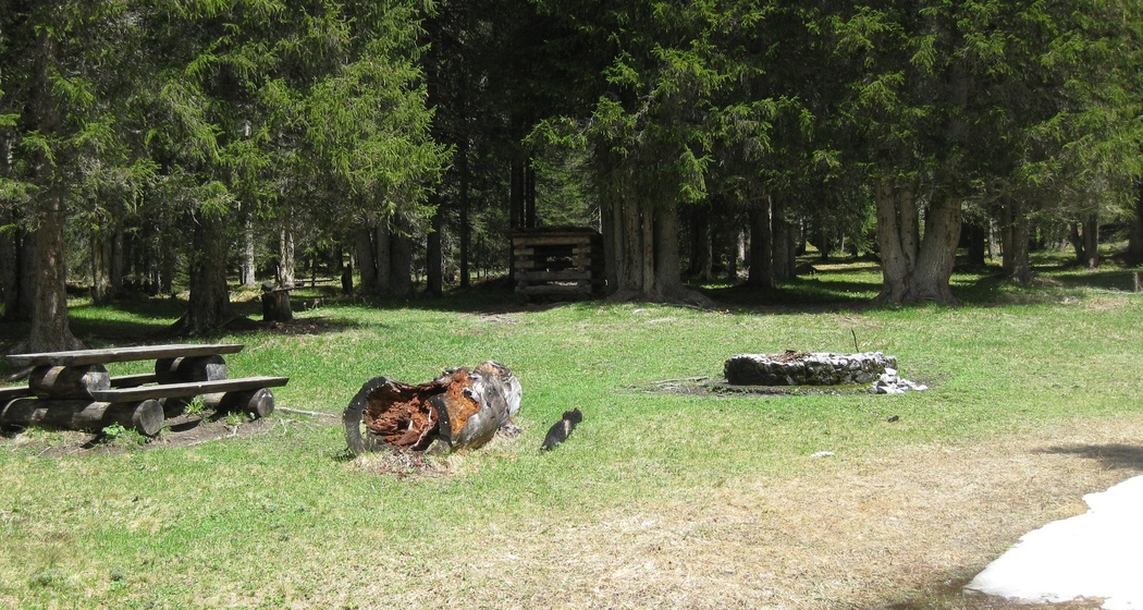 Feuerstelle Iselwald