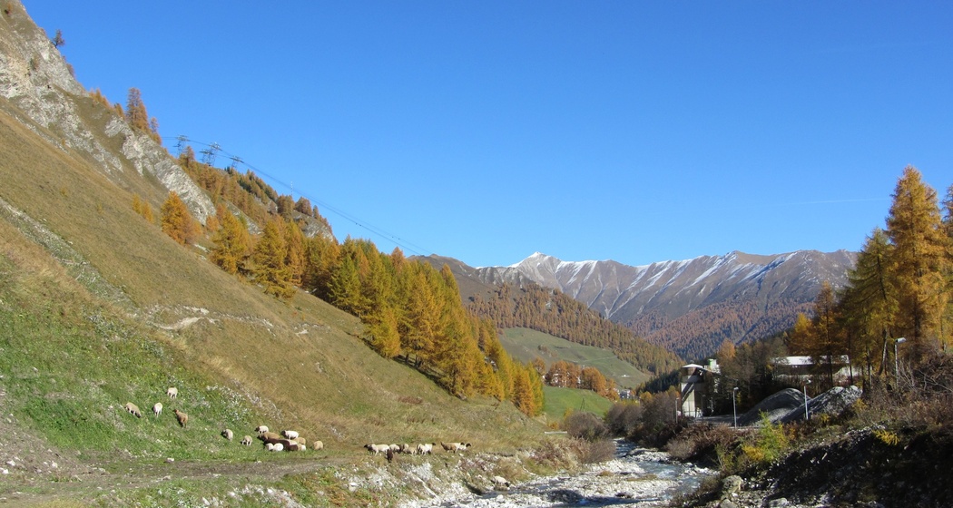 Schergenbach im Herbst