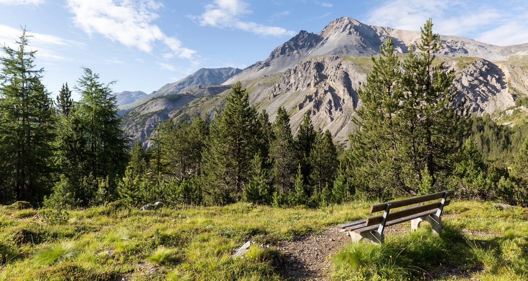 Valbella Rundtour ab Ofenpass (oua_603436951_image)