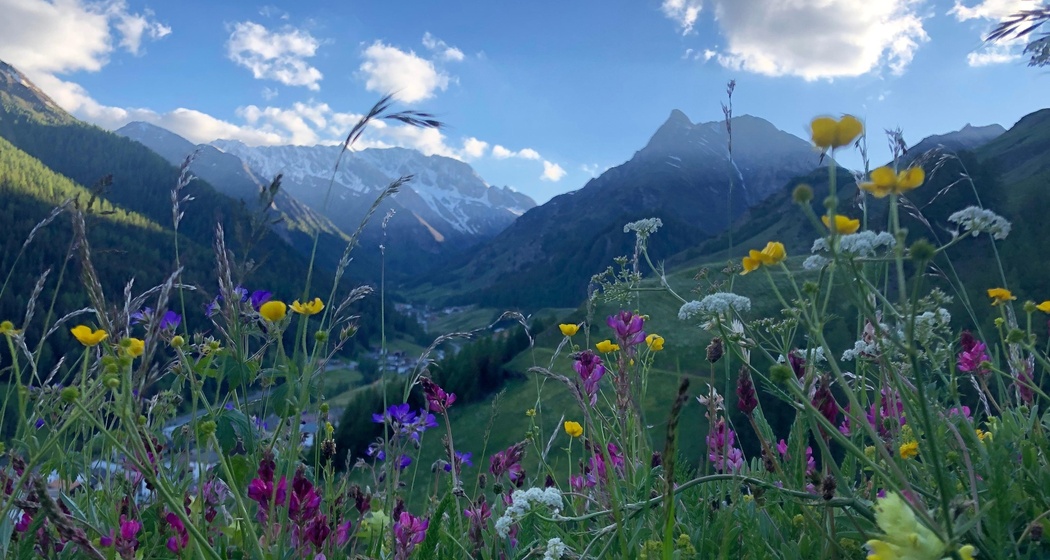 Oberhalb von Compatsch