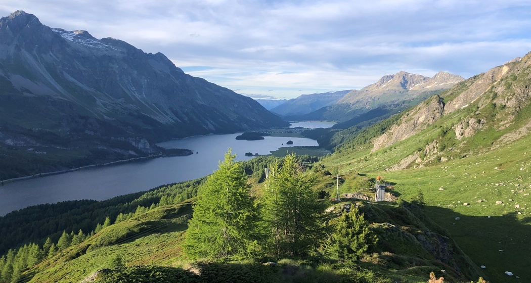 Aela (oua_60345572_image)