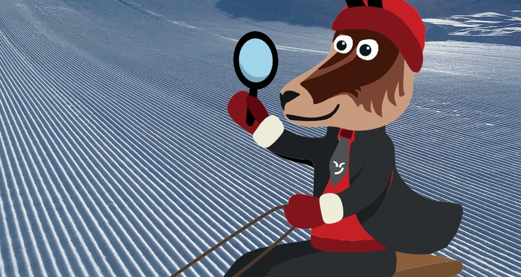 Detektiv Gemschi im Winter