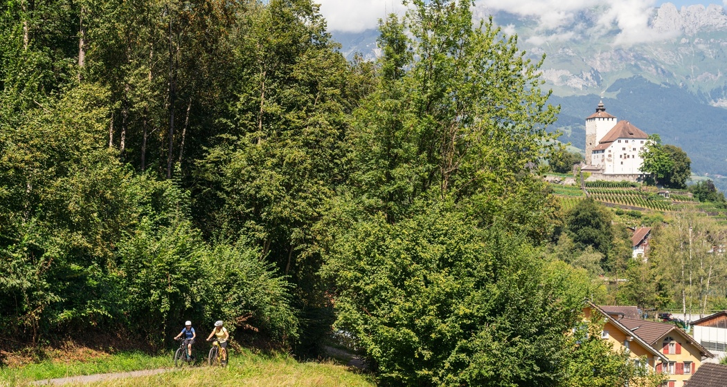 Schlossweg von Werdenberg nach Sargans (oua_603963663_image)