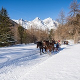 Luge à chevaux vers S-charl