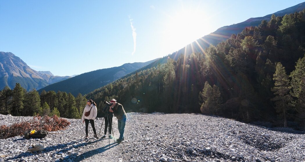 Val Mingèr: Natur pur (retour) (oua_604238767_image)