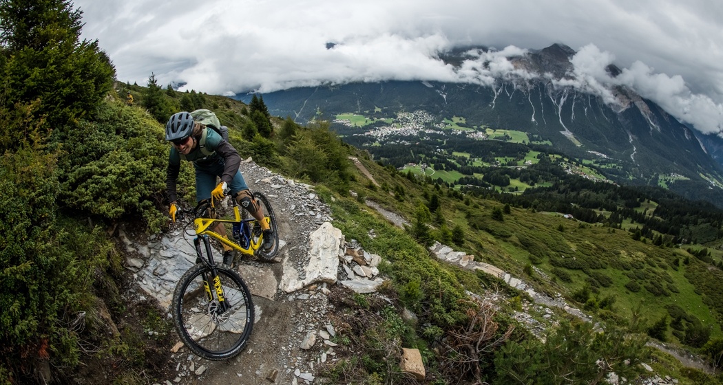 Top Fops (oua_604325434_image)