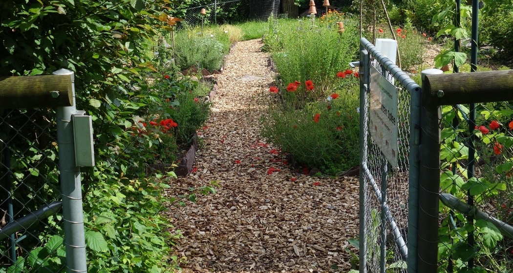 Kneippanlage Sargans mit Kräutergarten (oua_604390123_image)