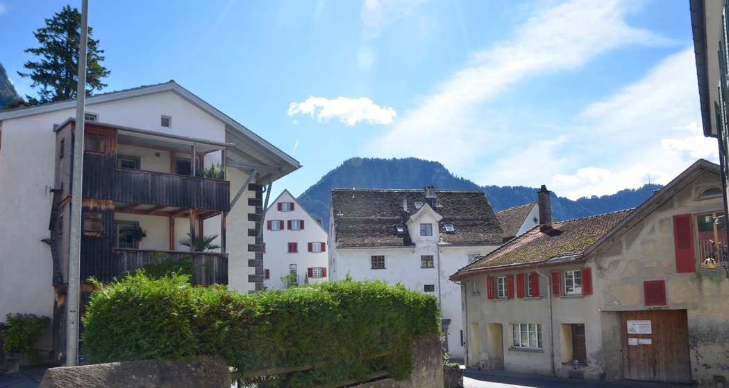 Haus Grass (oua_604421653_image)