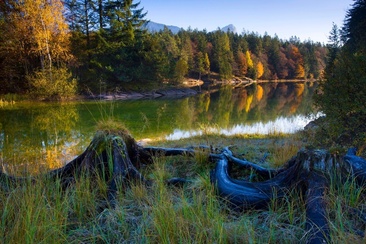 Fischen im Chapfensee (oua_604421664_image)