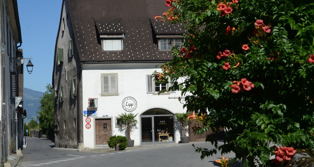 Unteres Gugelberghaus (oua_604435831_image)