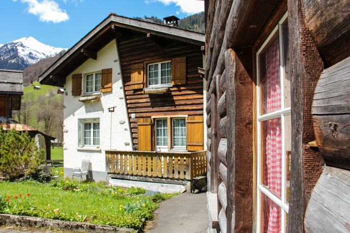 Weisstannen (oua_604435858_image)