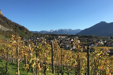 Fläsch (oua_604478381_image)