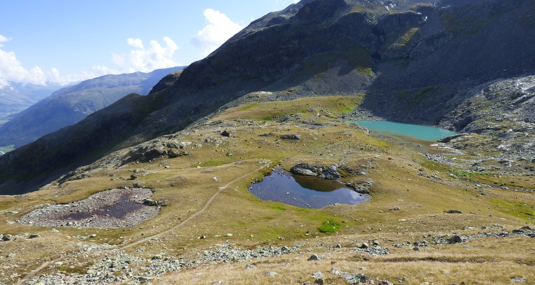 Bergsee Lej da l'Ova Cotschna (oua_604488540_image)