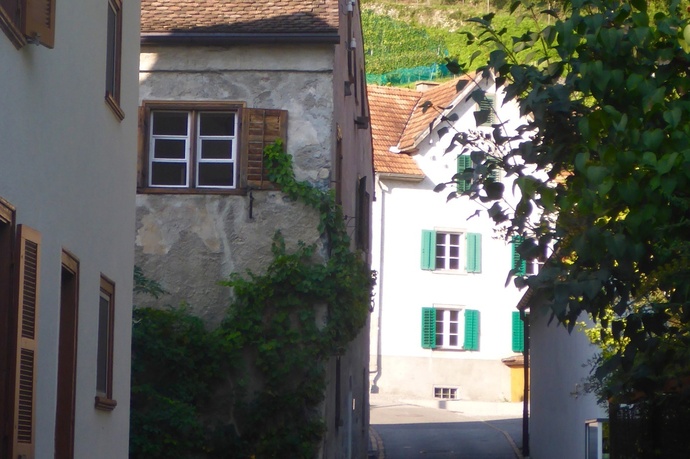 Residential Building Casascura (oua_604494988_image)