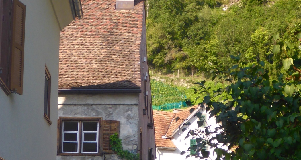 Casascura (oua_604494988_image)