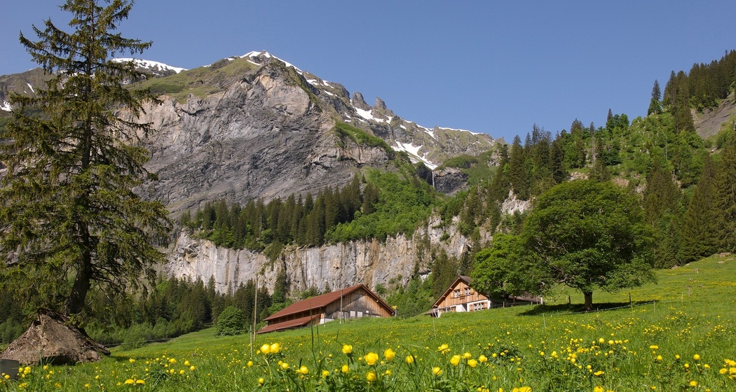 Alp Walabütz (oua_604495109_image)