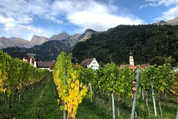 Jürg Obrecht Weine Jenins (oua_604535352_image)