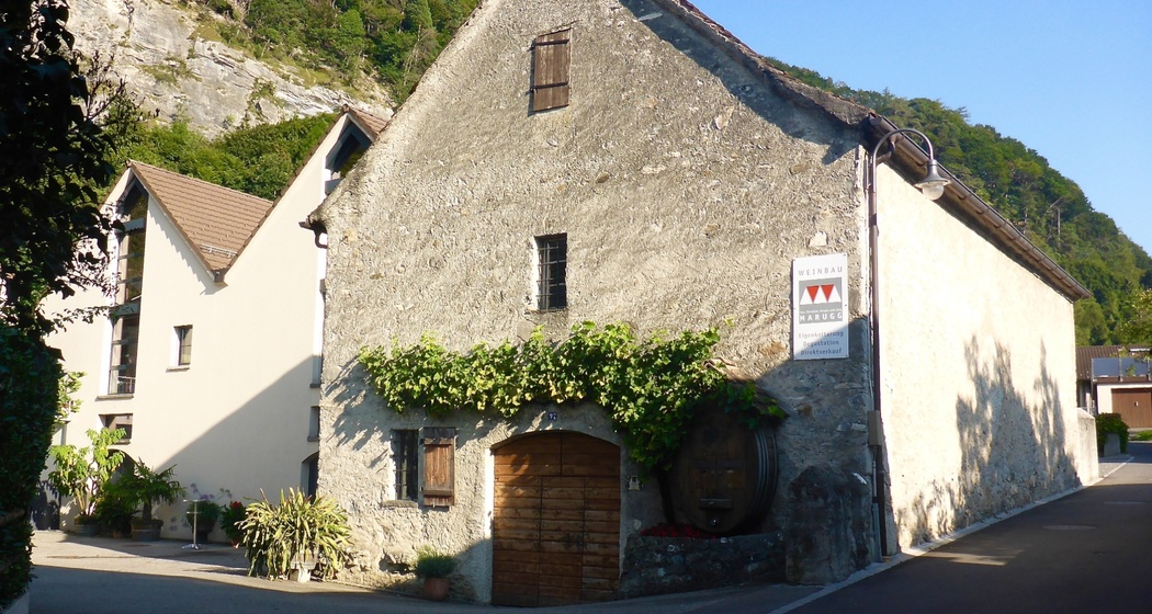 Torkel Marugg (oua_604535485_image)