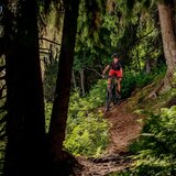 percorsi tecnici nel bosco