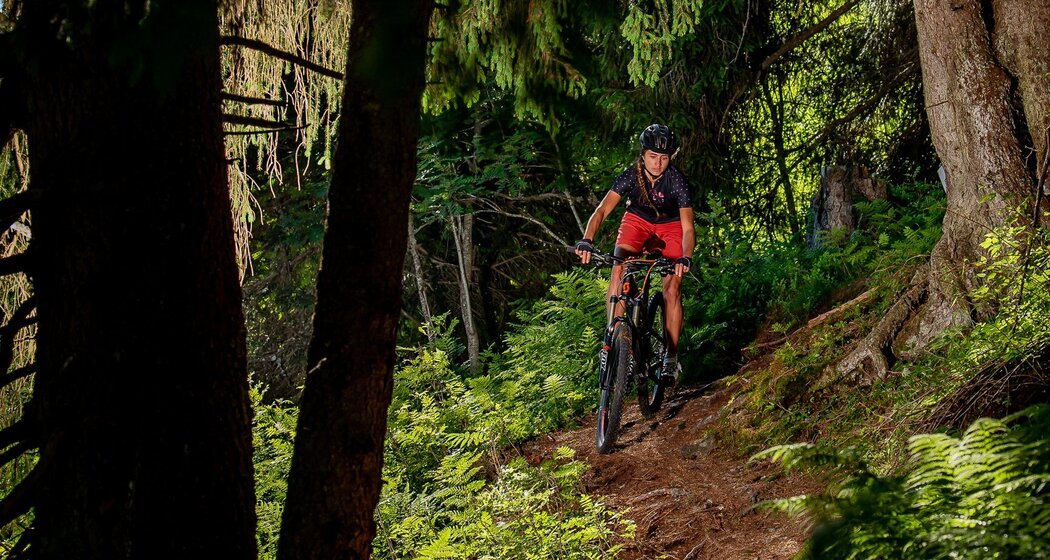 Technische Waldtrails