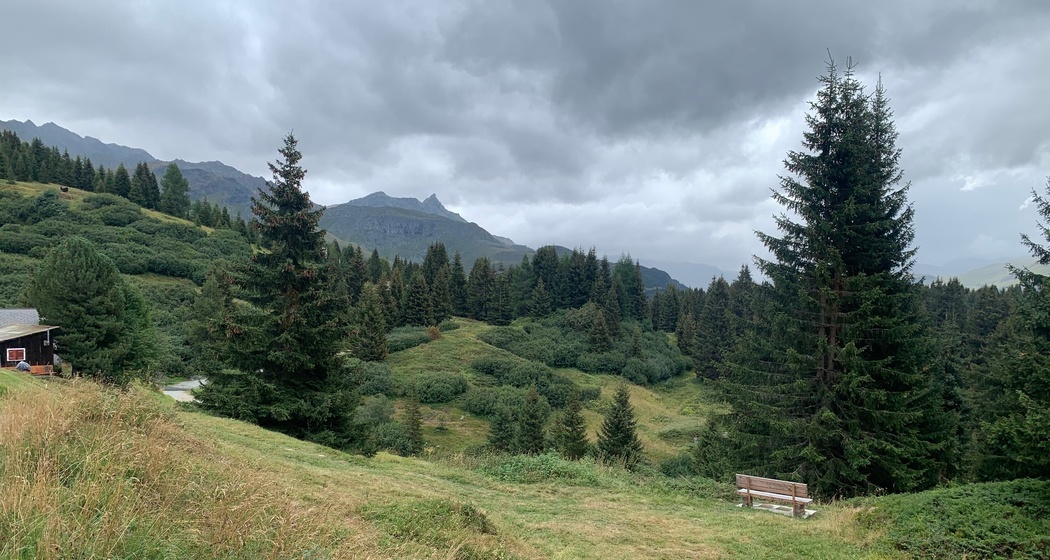 Wanderweg Alp Flix (zugänglich für Blinde) (oua_604892045_image)